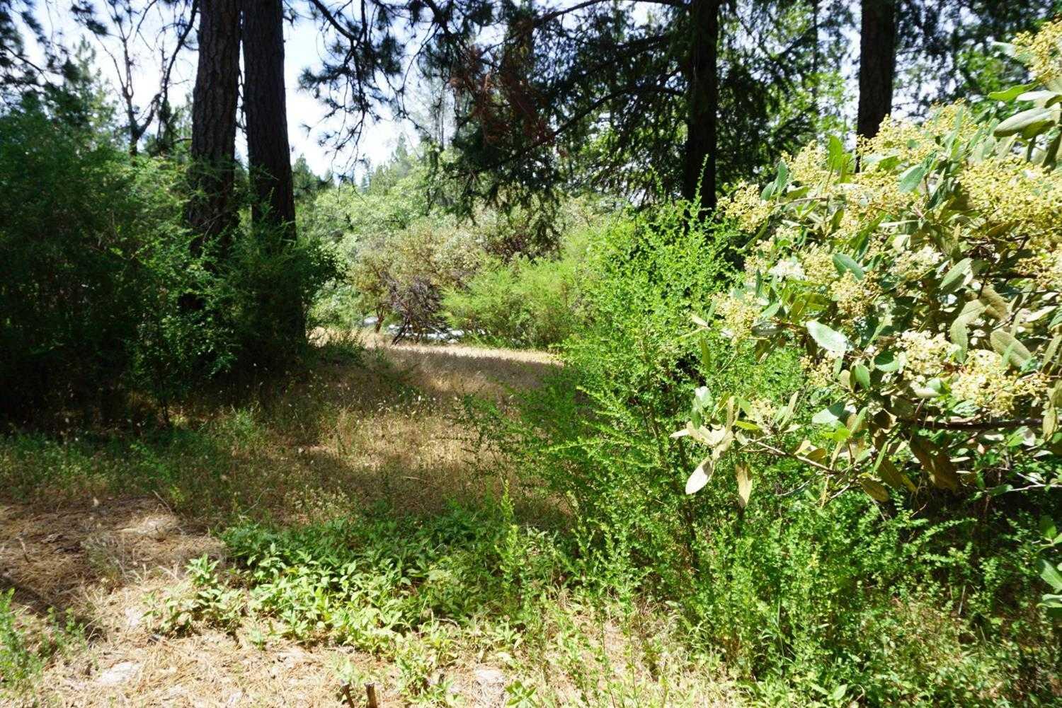 2363 Big Canyon Creek Road, 19045623, Placerville, Residential Lot,  sold, Realty World - Sierra Properties