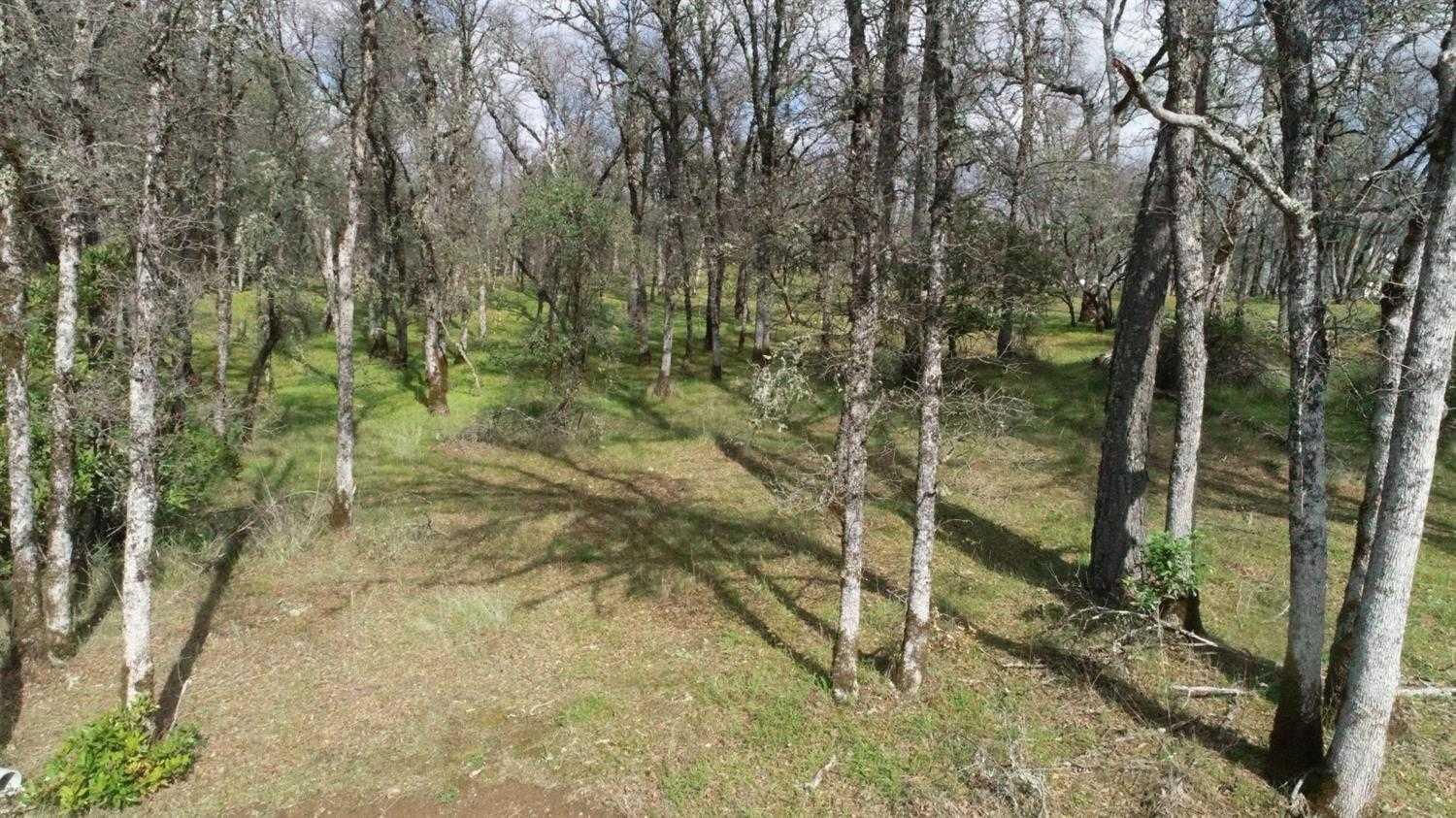 Gold Strike, 221023158, Placerville, Residential Lot,  sold, Realty World - Sierra Properties